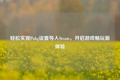 轻松实现Pubg设置导入Steam,开启游戏畅玩新体验