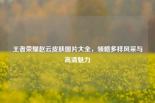 王者荣耀赵云皮肤图片大全,领略多样风采与高清魅力