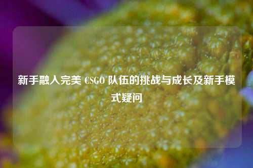 新手融入完美 CSGO 队伍的挑战与成长及新手模式疑问
