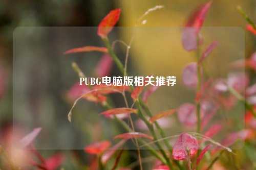 PUBG电脑版相关推荐