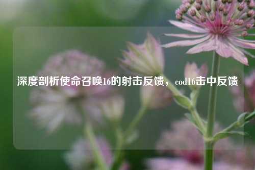 深度剖析使命召唤16的射击反馈,cod16击中反馈