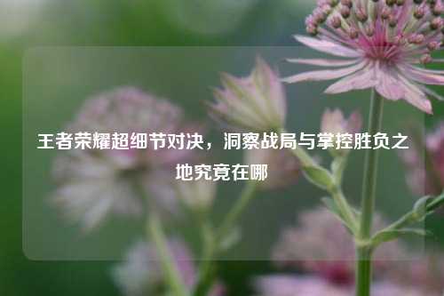 王者荣耀超细节对决，洞察战局与掌控胜负之地究竟在哪