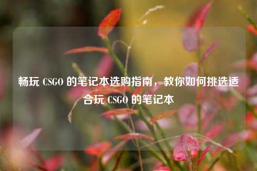 畅玩 CSGO 的笔记本选购指南，教你如何挑选适合玩 CSGO 的笔记本