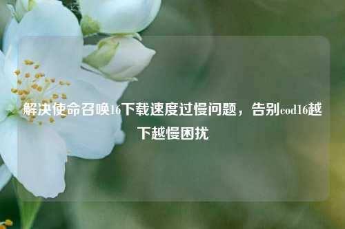 解决使命召唤16下载速度过慢问题，告别cod16越下越慢困扰