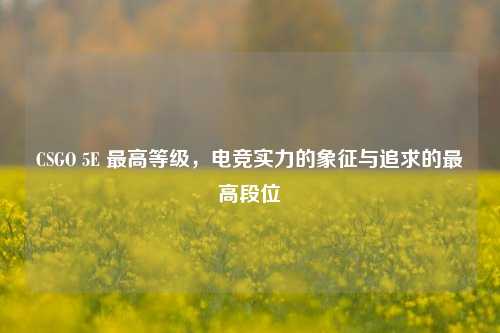 CSGO 5E 最高等级，电竞实力的象征与追求的最高段位