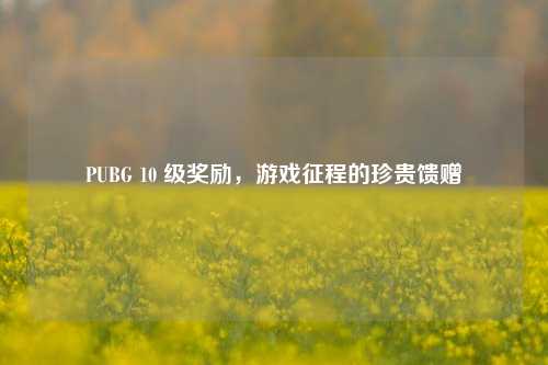 PUBG 10 级奖励,游戏征程的珍贵馈赠