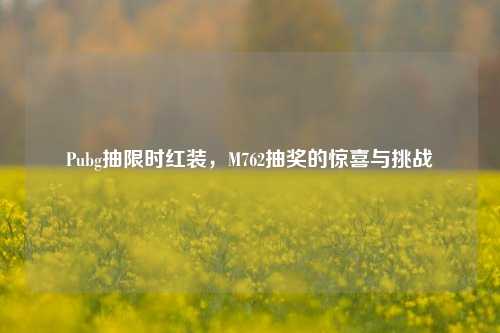 Pubg抽限时红装,M762抽奖的惊喜与挑战