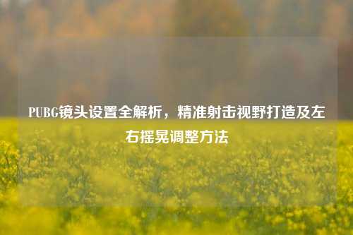 PUBG镜头设置全解析,精准射击视野打造及左右摇晃调整方法