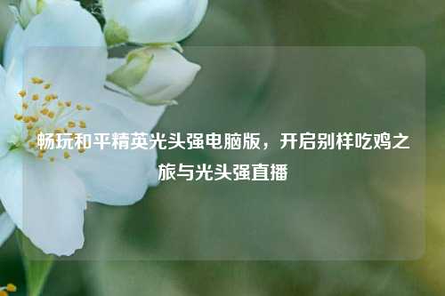 畅玩和平精英光头强电脑版,开启别样吃鸡之旅与光头强直播