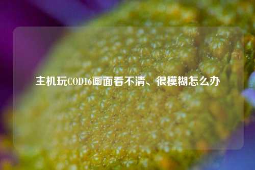 主机玩COD16画面看不清、很模糊怎么办