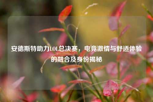 安德斯特助力LOL总决赛,电竞激情与舒适体验的融合及身份揭秘