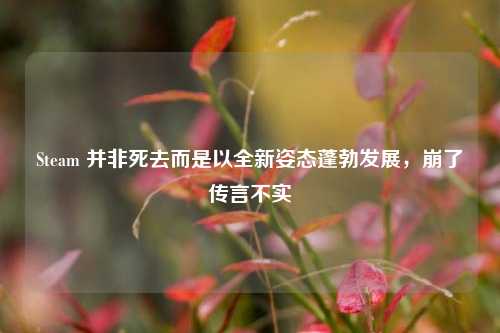 Steam 并非死去而是以全新姿态蓬勃发展，崩了传言不实
