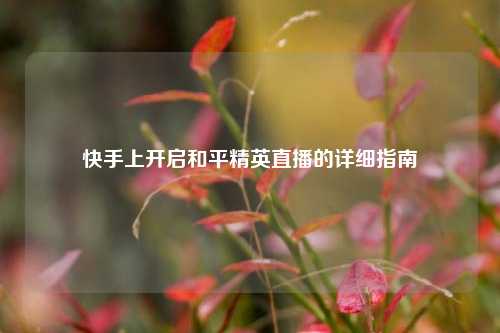 快手上开启和平精英直播的详细指南