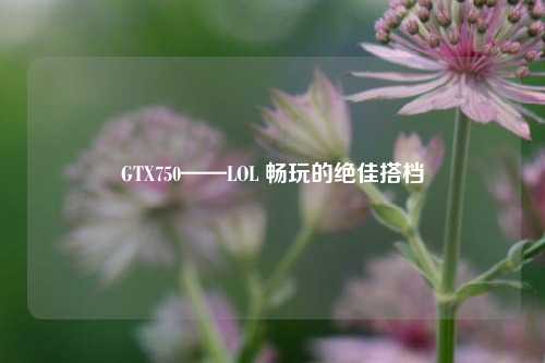 GTX750——LOL 畅玩的绝佳搭档