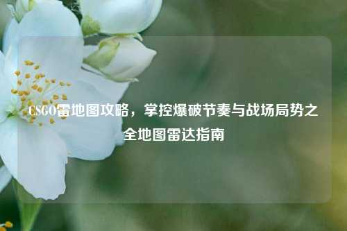 CSGO雷地图攻略,掌控爆破节奏与战场局势之全地图雷达指南