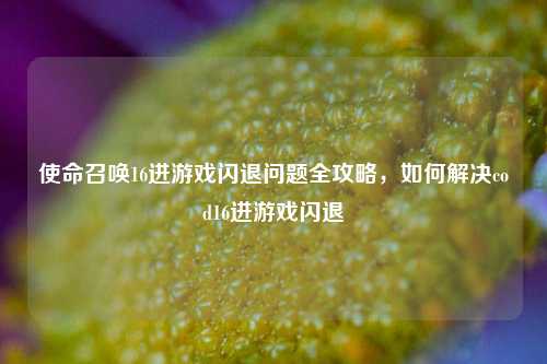 使命召唤16进游戏闪退问题全攻略，如何解决cod16进游戏闪退