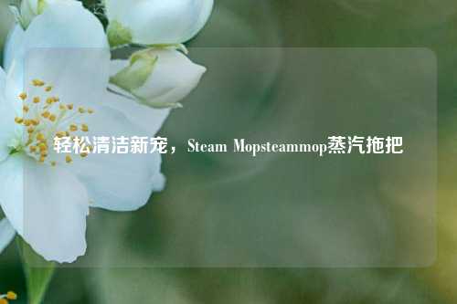 轻松清洁新宠,Steam Mopsteammop蒸汽拖把