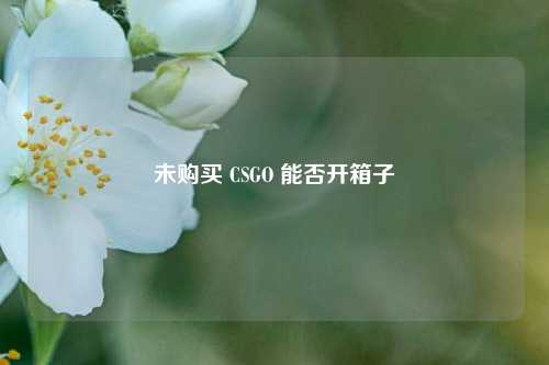 未购买 CSGO 能否开箱子