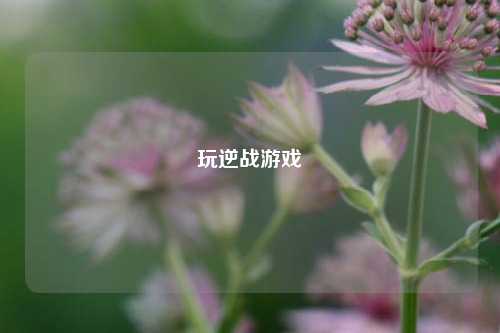 玩逆战游戏