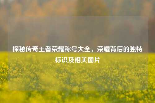 探秘传奇王者荣耀称号大全，荣耀背后的独特标识及相关图片