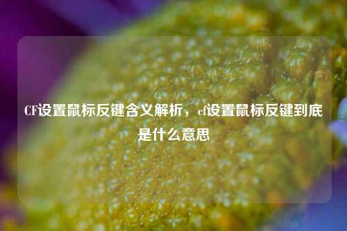 CF设置鼠标反键含义解析，cf设置鼠标反键到底是什么意思