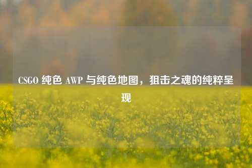 CSGO 纯色 AWP 与纯色地图，狙击之魂的纯粹呈现
