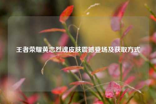 王者荣耀黄忠烈魂皮肤震撼登场及获取方式