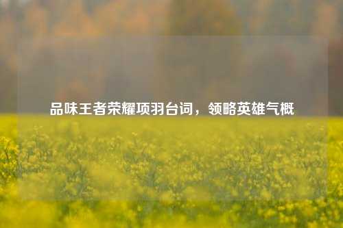 品味王者荣耀项羽台词,领略英雄气概