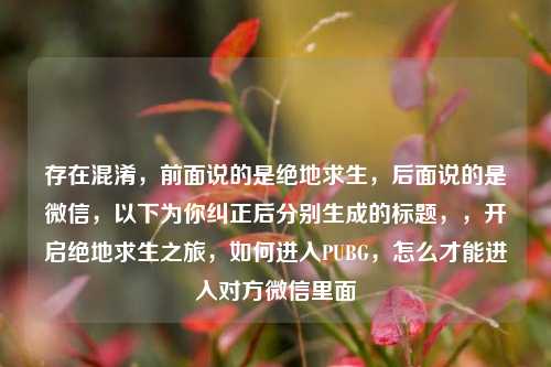 存在混淆，前面说的是绝地求生，后面说的是微信，以下为你纠正后分别生成的标题，，开启绝地求生之旅，如何进入PUBG，怎么才能进入对方微信里面