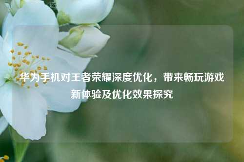 华为手机对王者荣耀深度优化，带来畅玩游戏新体验及优化效果探究
