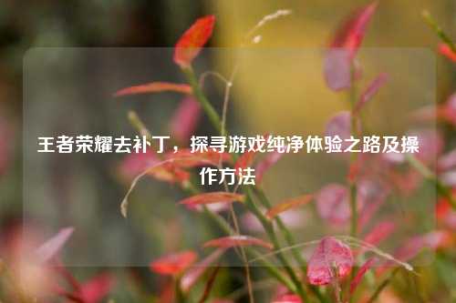 王者荣耀去补丁,探寻游戏纯净体验之路及操作方法