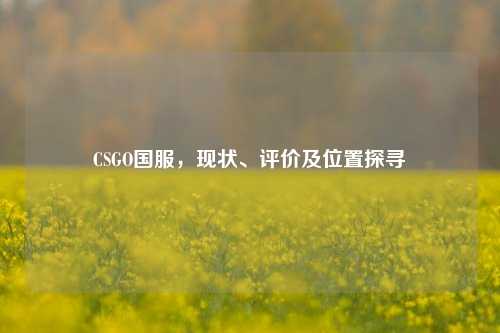 CSGO国服，现状、评价及位置探寻