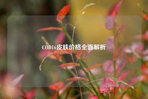 COD16皮肤价格全面解析