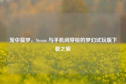 笼中窥梦，Steam 与手机间穿梭的梦幻试玩版下载之旅