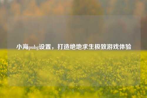 小海pubg设置，打造绝地求生极致游戏体验