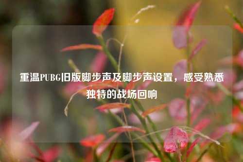重温PUBG旧版脚步声及脚步声设置,感受熟悉独特的战场回响