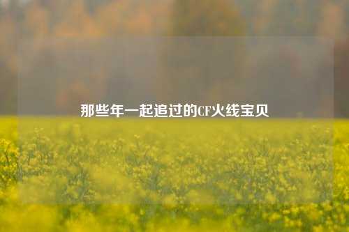 那些年一起追过的CF火线宝贝