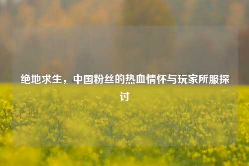 绝地求生,中国粉丝的热血情怀与玩家所服探讨