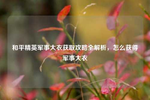 和平精英军事大衣获取攻略全解析，怎么获得军事大衣