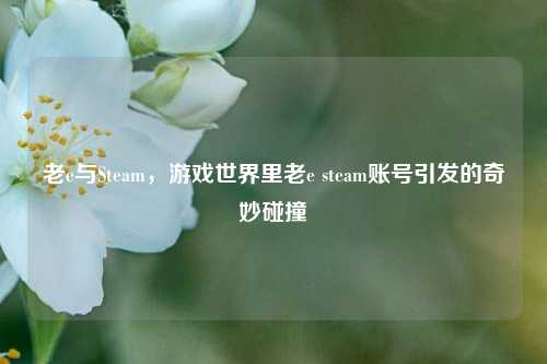 老e与Steam，游戏世界里老e steam账号引发的奇妙碰撞