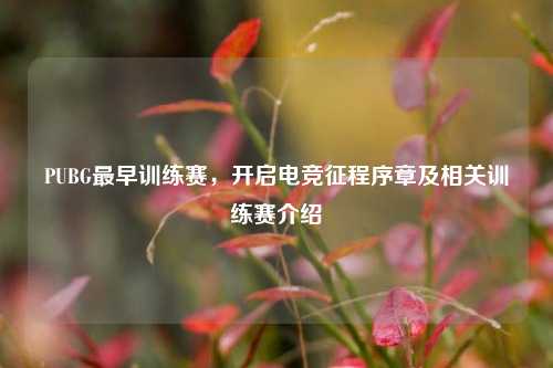 PUBG最早训练赛，开启电竞征程序章及相关训练赛介绍