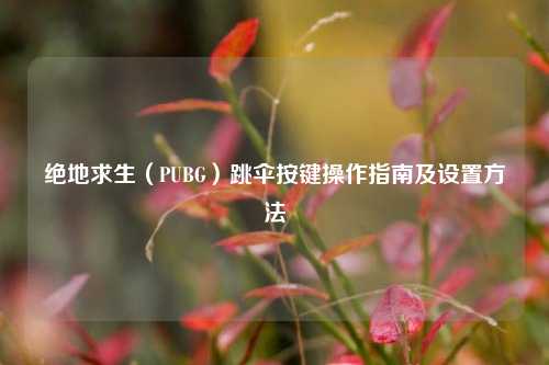 绝地求生（PUBG）跳伞按键操作指南及设置方法