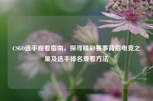CSGO选手观看指南，探寻精彩赛事背后电竞之星及选手排名查看方法