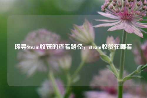 探寻Steam收获的查看路径，steam收货在哪看