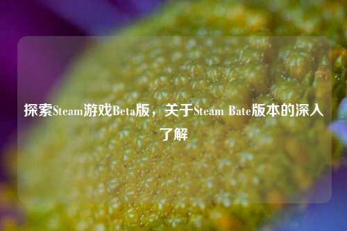 探索Steam游戏Beta版，关于Steam Bate版本的深入了解