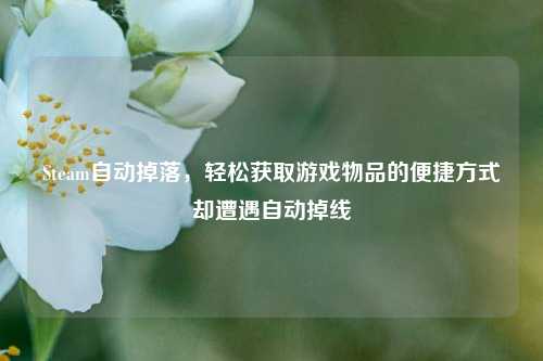 Steam自动掉落，轻松获取游戏物品的便捷方式却遭遇自动掉线