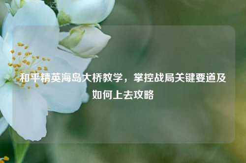 和平精英海岛大桥教学,掌控战局关键要道及如何上去攻略