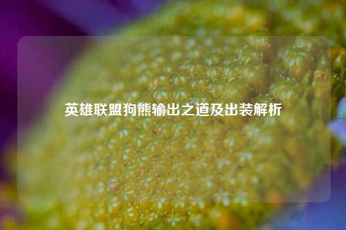 英雄联盟狗熊输出之道及出装解析