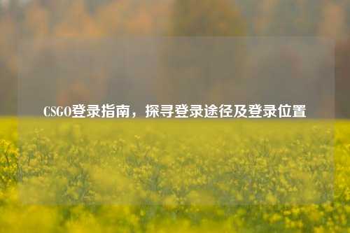 CSGO登录指南，探寻登录途径及登录位置