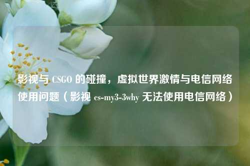 影视与 CSGO 的碰撞，虚拟世界激情与电信网络使用问题（影视 cs-my3-3why 无法使用电信网络）